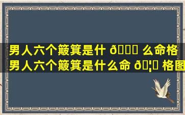 男人六个簸箕是什 🍀 么命格「男人六个簸箕是什么命 🦍 格图片」
